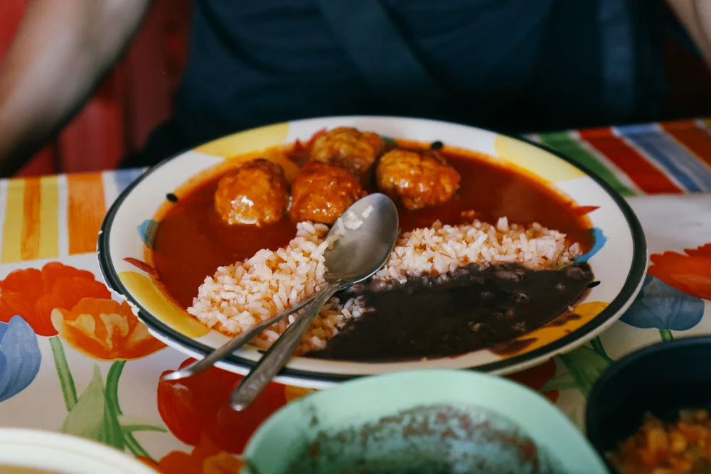 Albondigas de Pollo (Chicken Meatball)