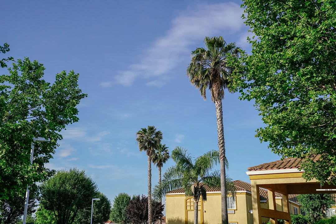 Drove up to Sacramento for a Big Day!