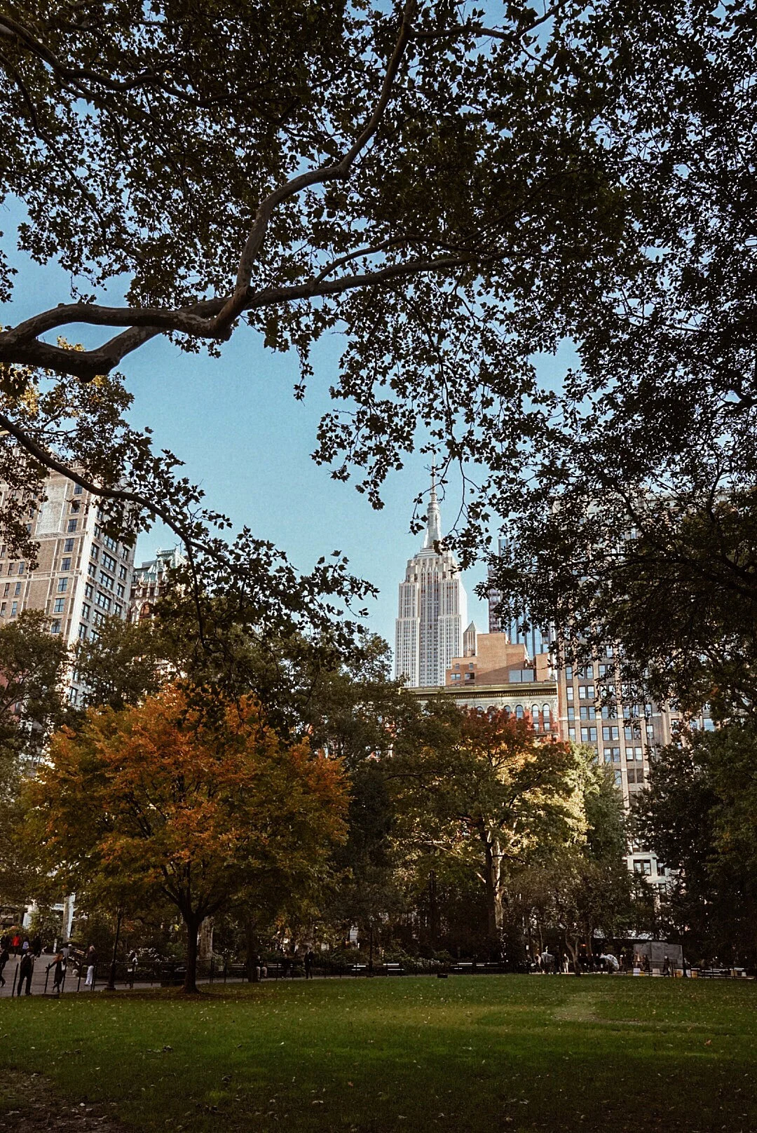 687C3F9E-B372-4566-9A76-E7FEFED3B2EC.jpg