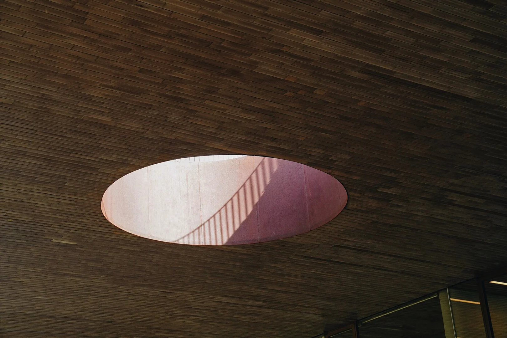 A2F4EE41-FDE6-4BE9-96CE-2D22F07375B4.jpg