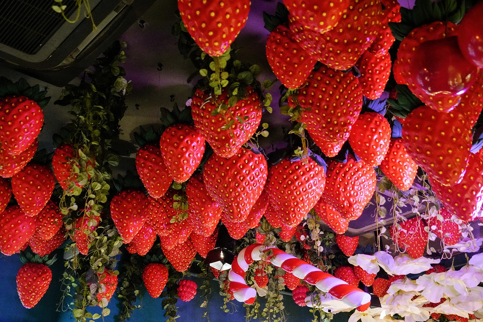268252FE-F526-4954-BAB0-9EC9C75A0543.jpg