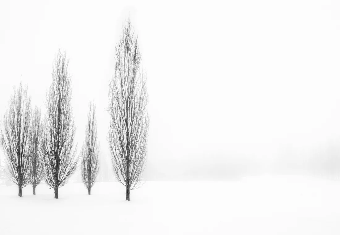 t h i n & t a l l . l e a n & l o n g
