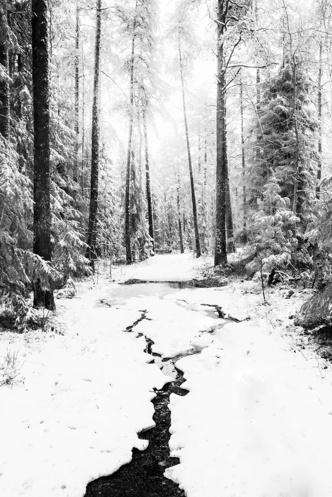Sipoonkorpi National Park, Finland 2016