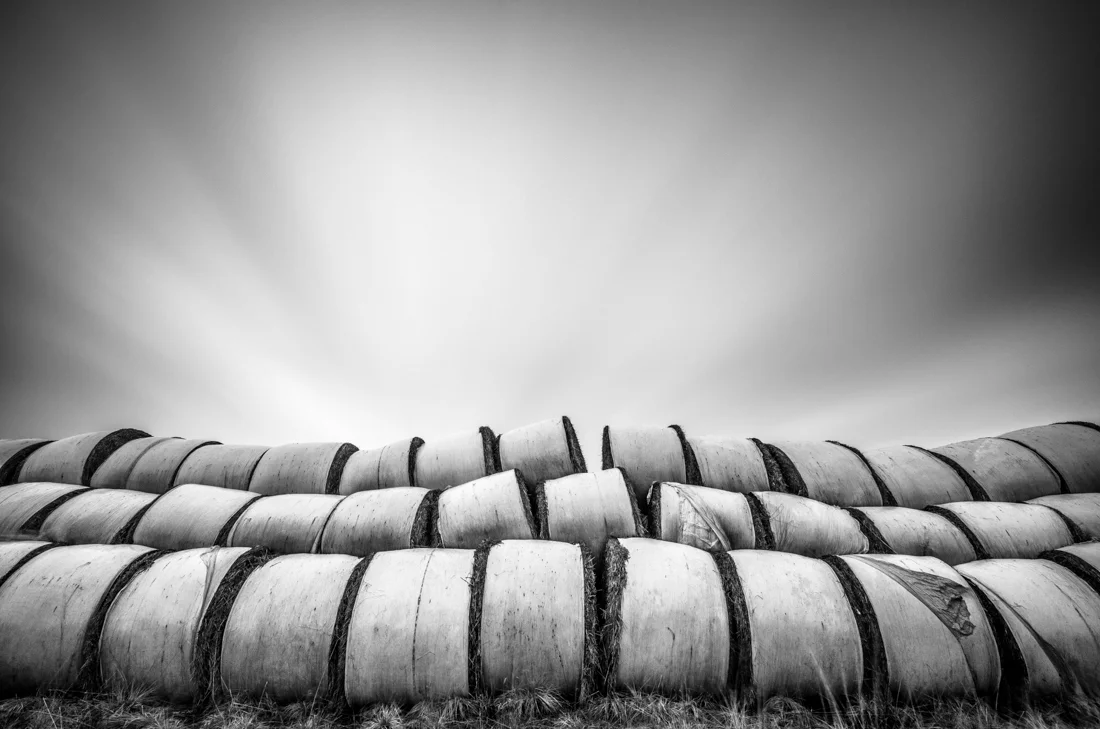 Hay Wall - Apart Gallery