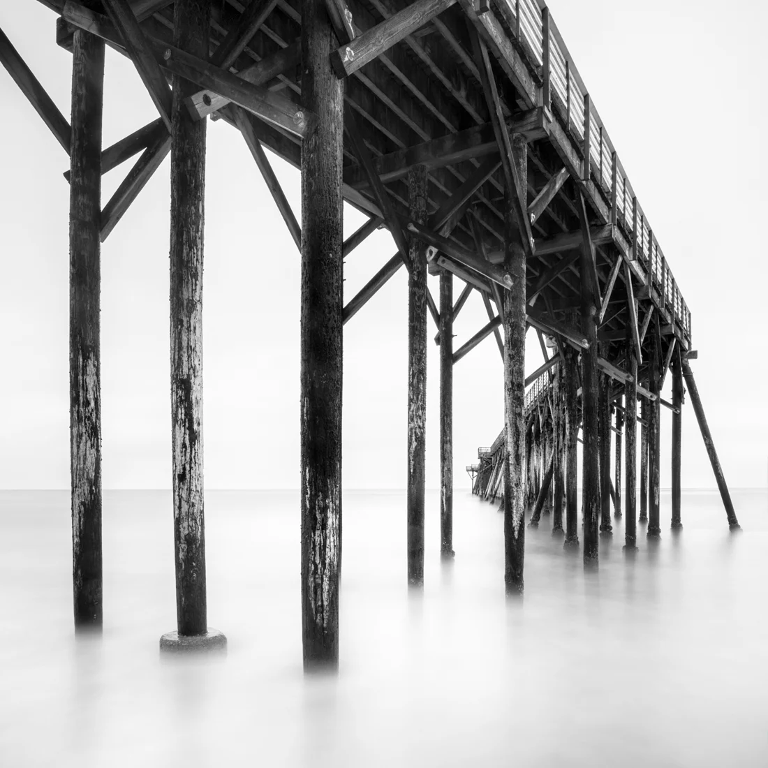Left Turn - Shore Gallery