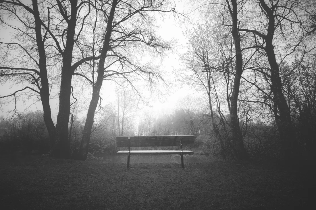 Vacant - Apart Gallery