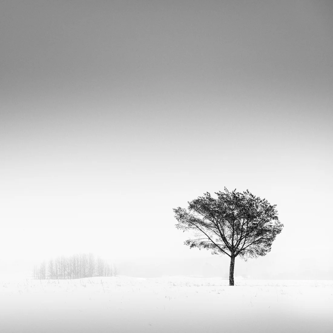 Outsider - Apart Gallery