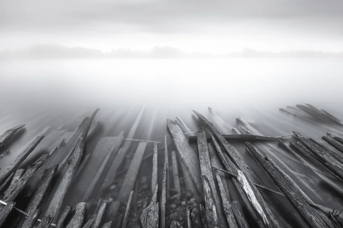 Boards - Shore Gallery