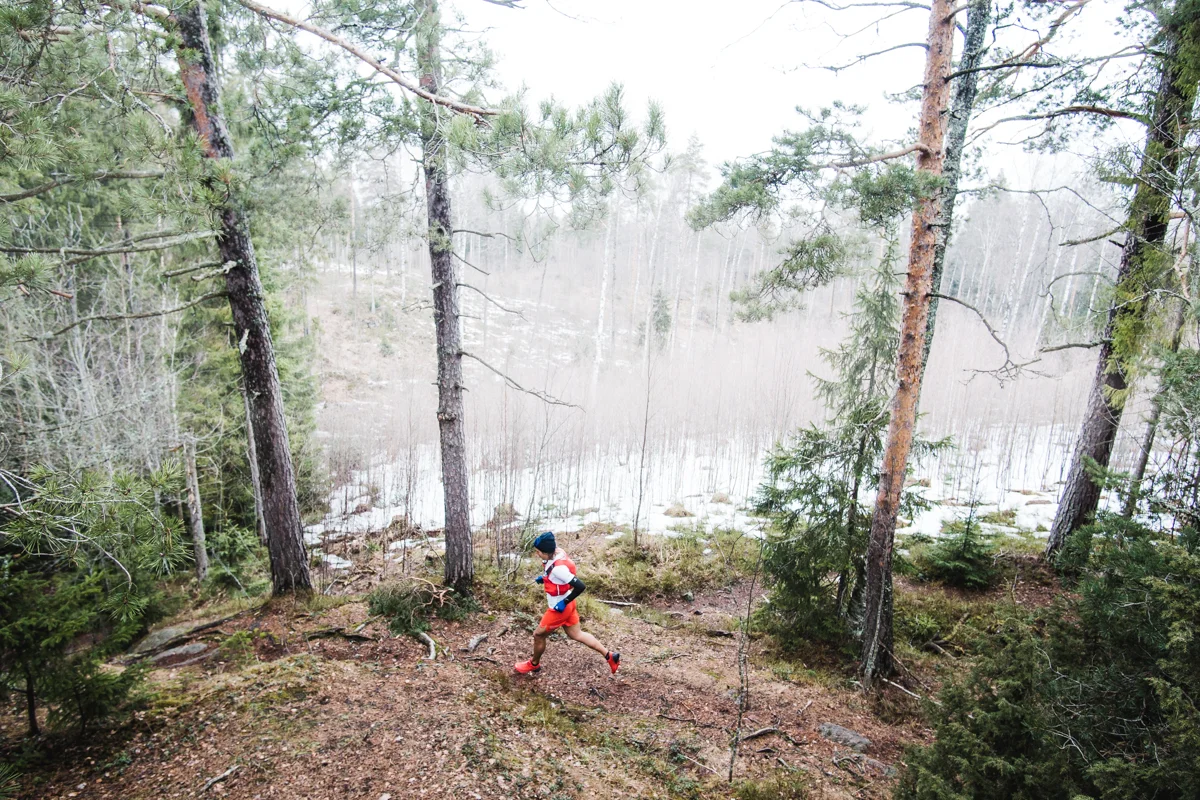 juusosimpanen_sipoonkorpi-2.jpg