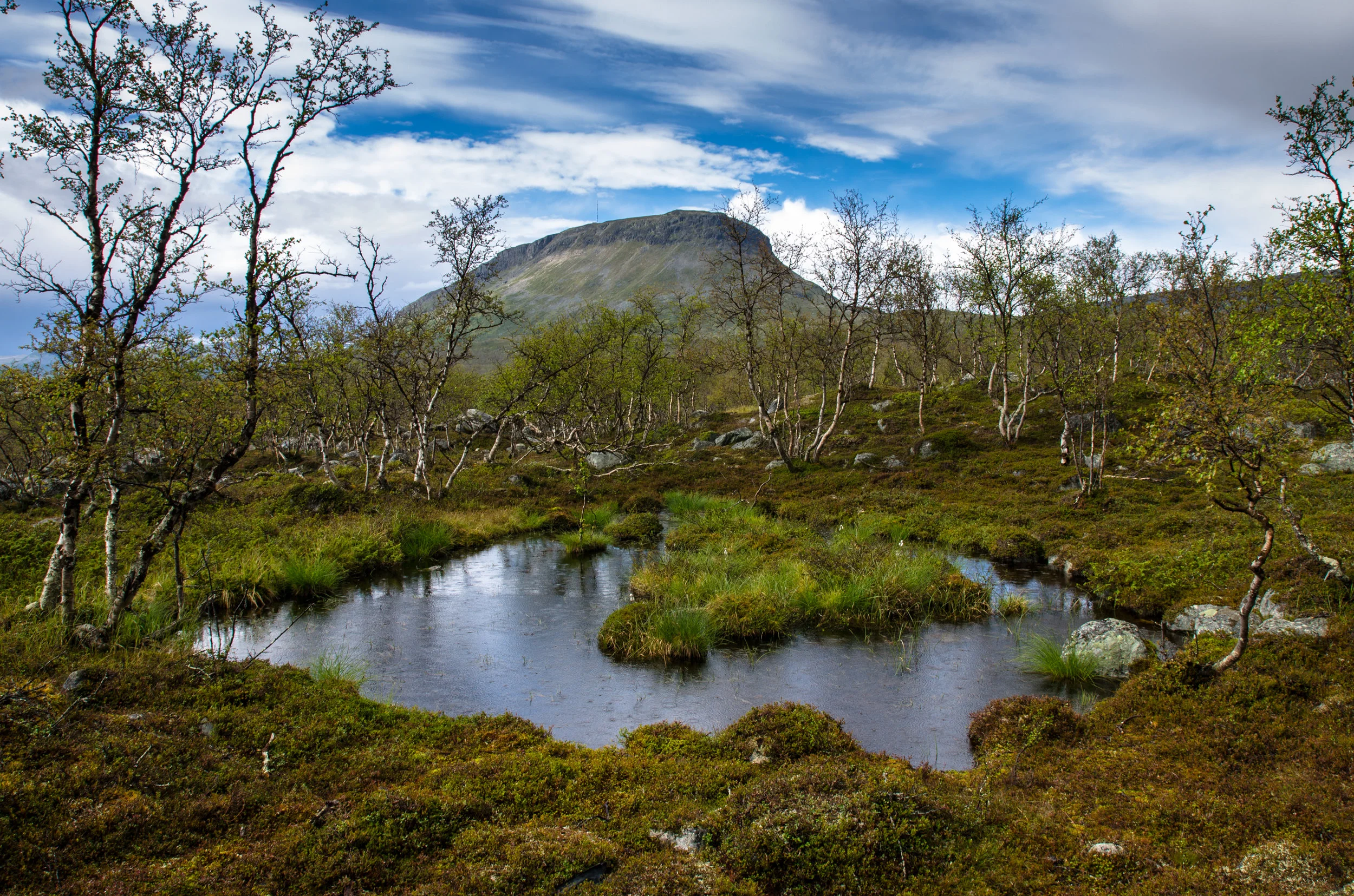 TeemuOksanen_retki-48.jpg