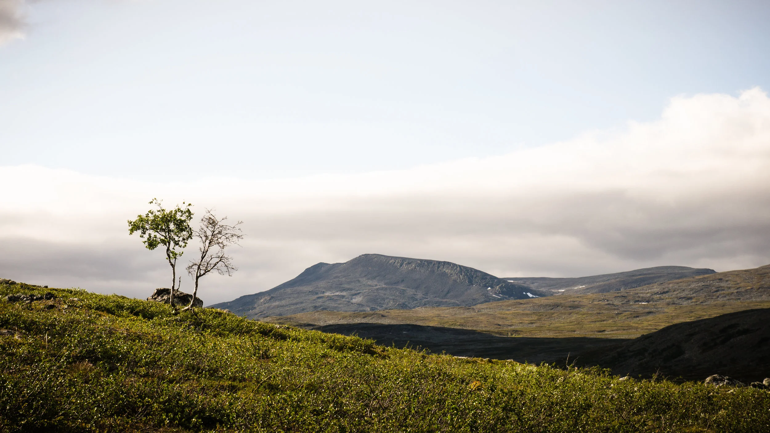 TeemuOksanen_retki-58.jpg