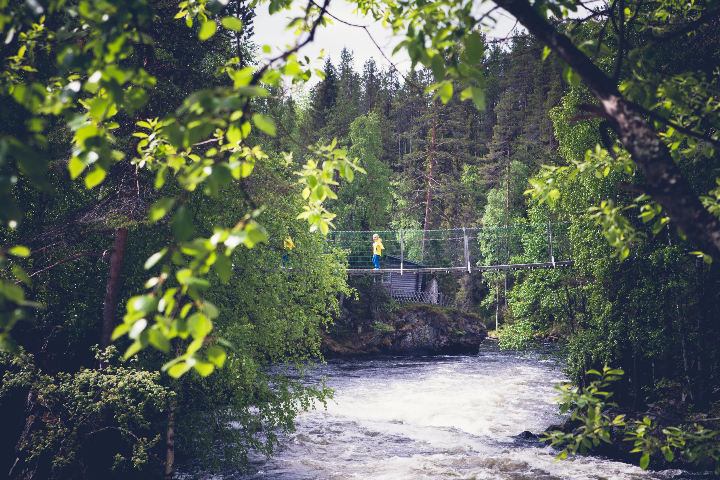 TeemuOksanen_retki-68.jpg