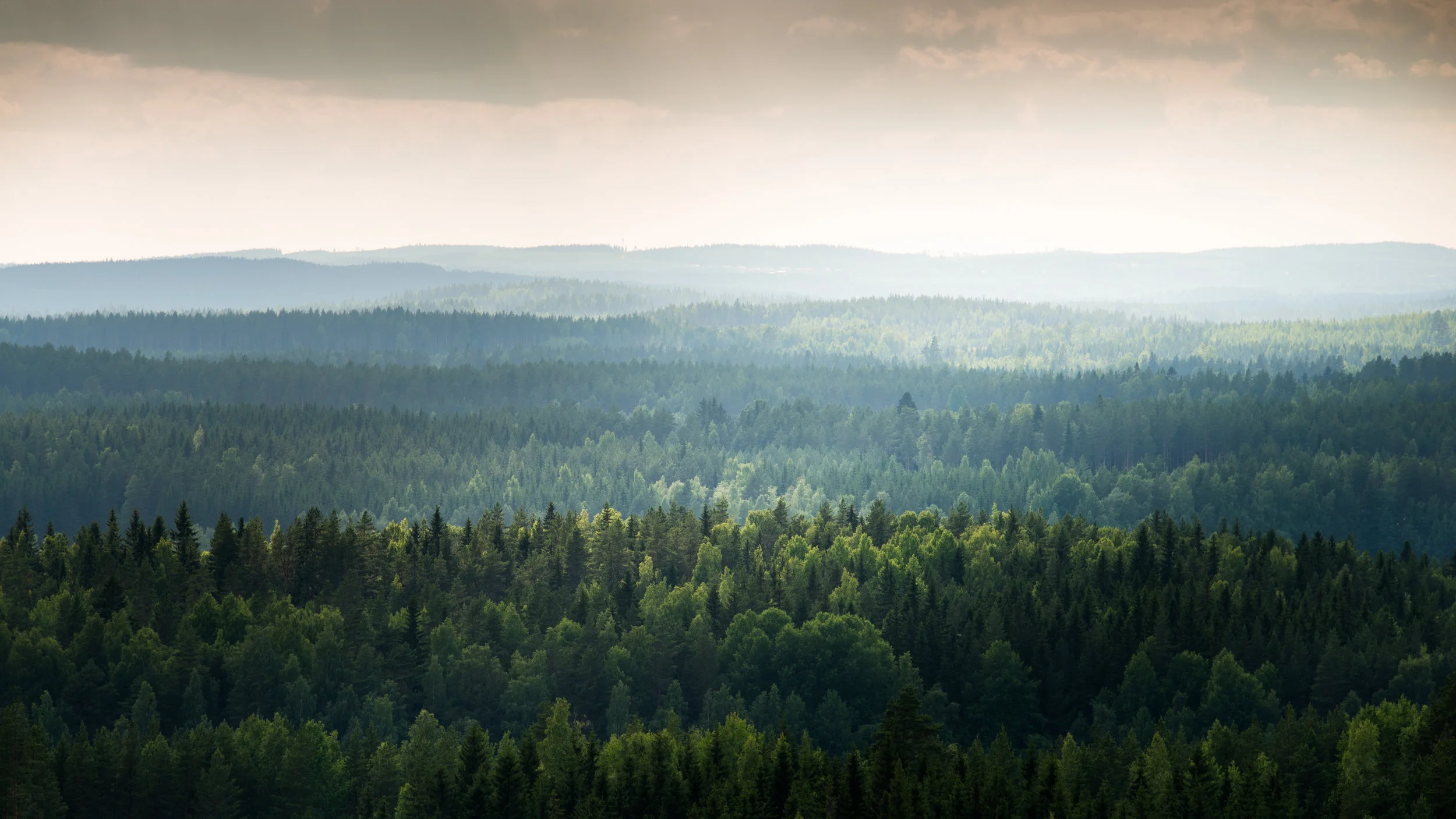 TeemuOksanen_retki-75.jpg