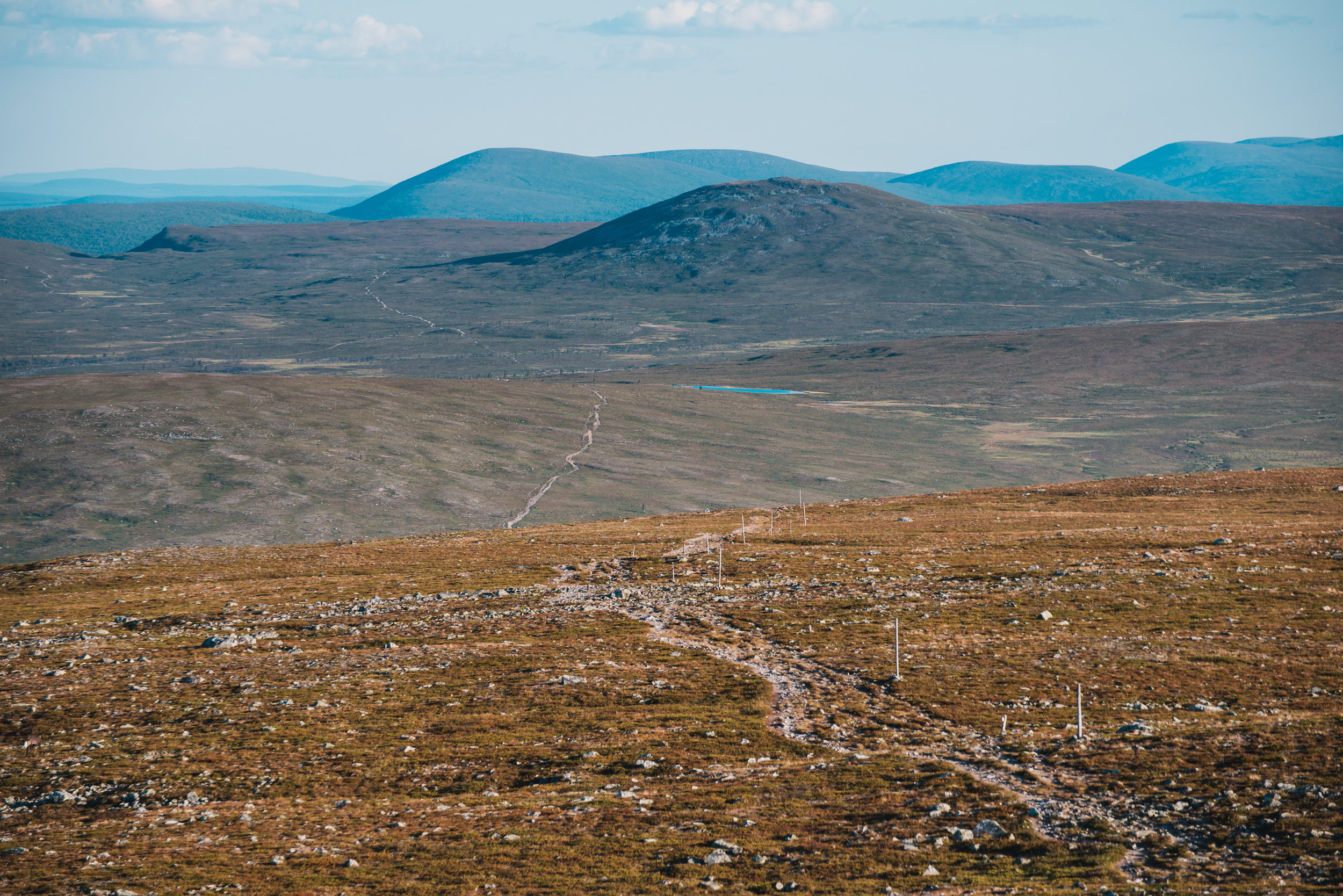 TeemuOksanen_retki-84.jpg