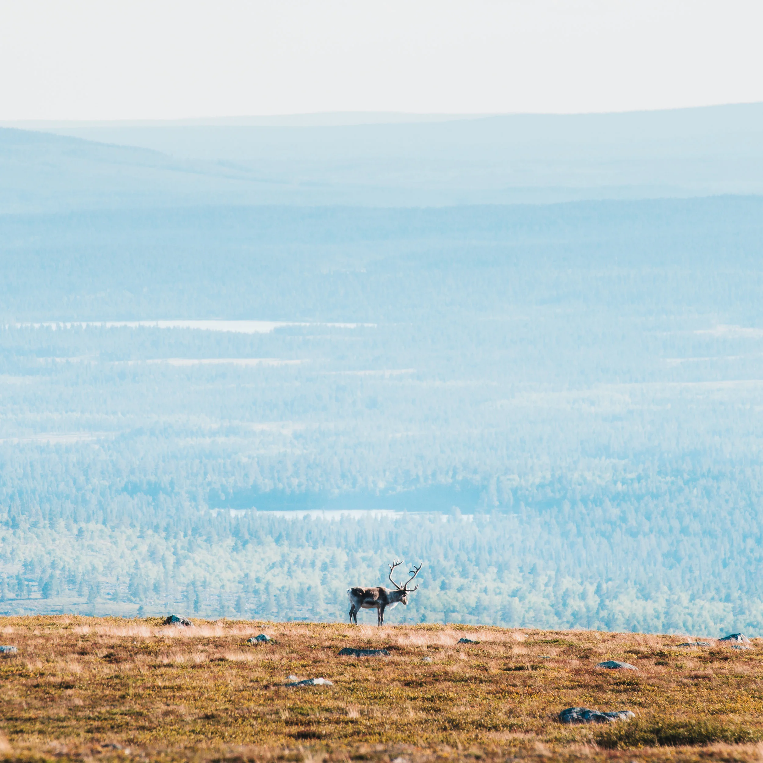TeemuOksanen_retki-86.jpg