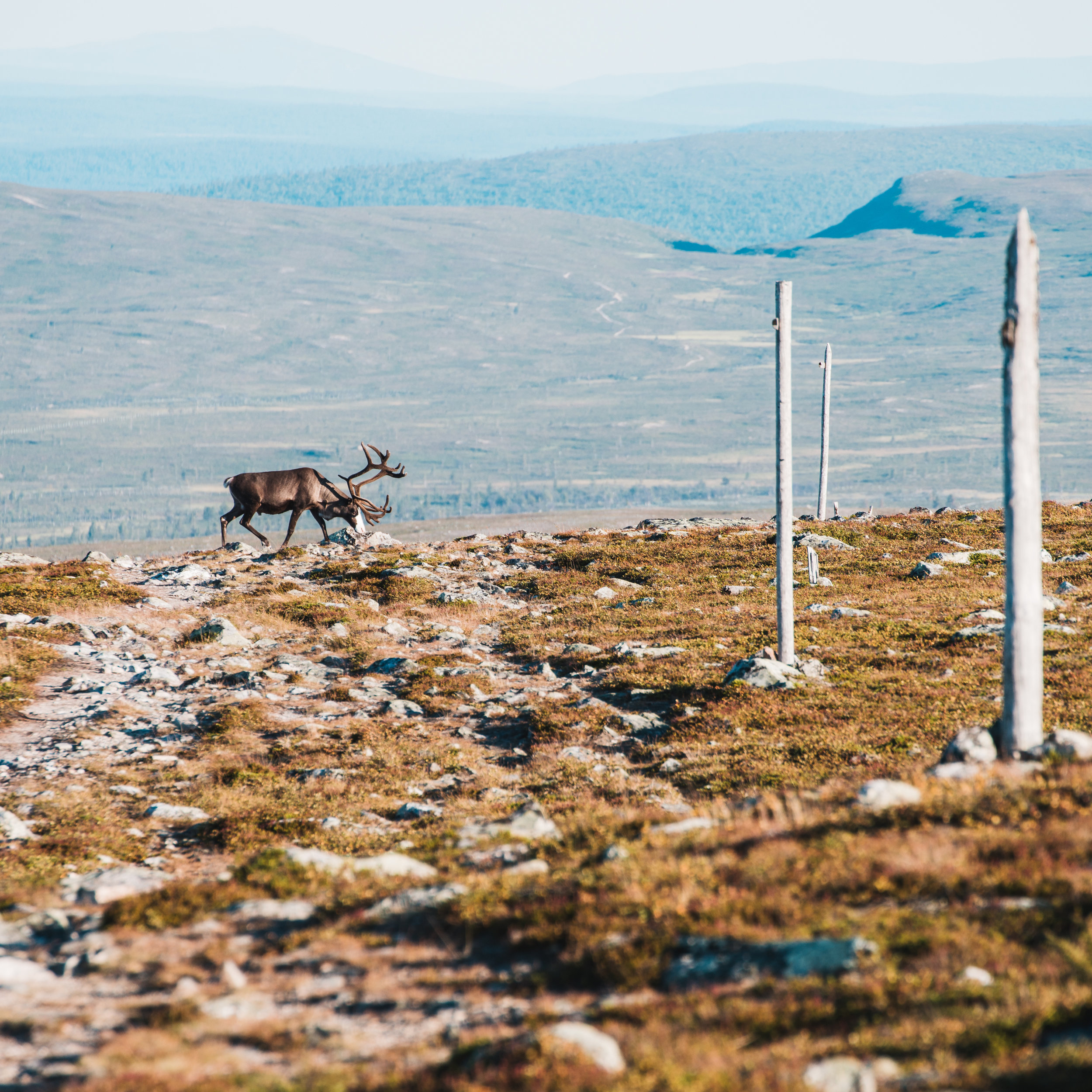 TeemuOksanen_retki-87.jpg