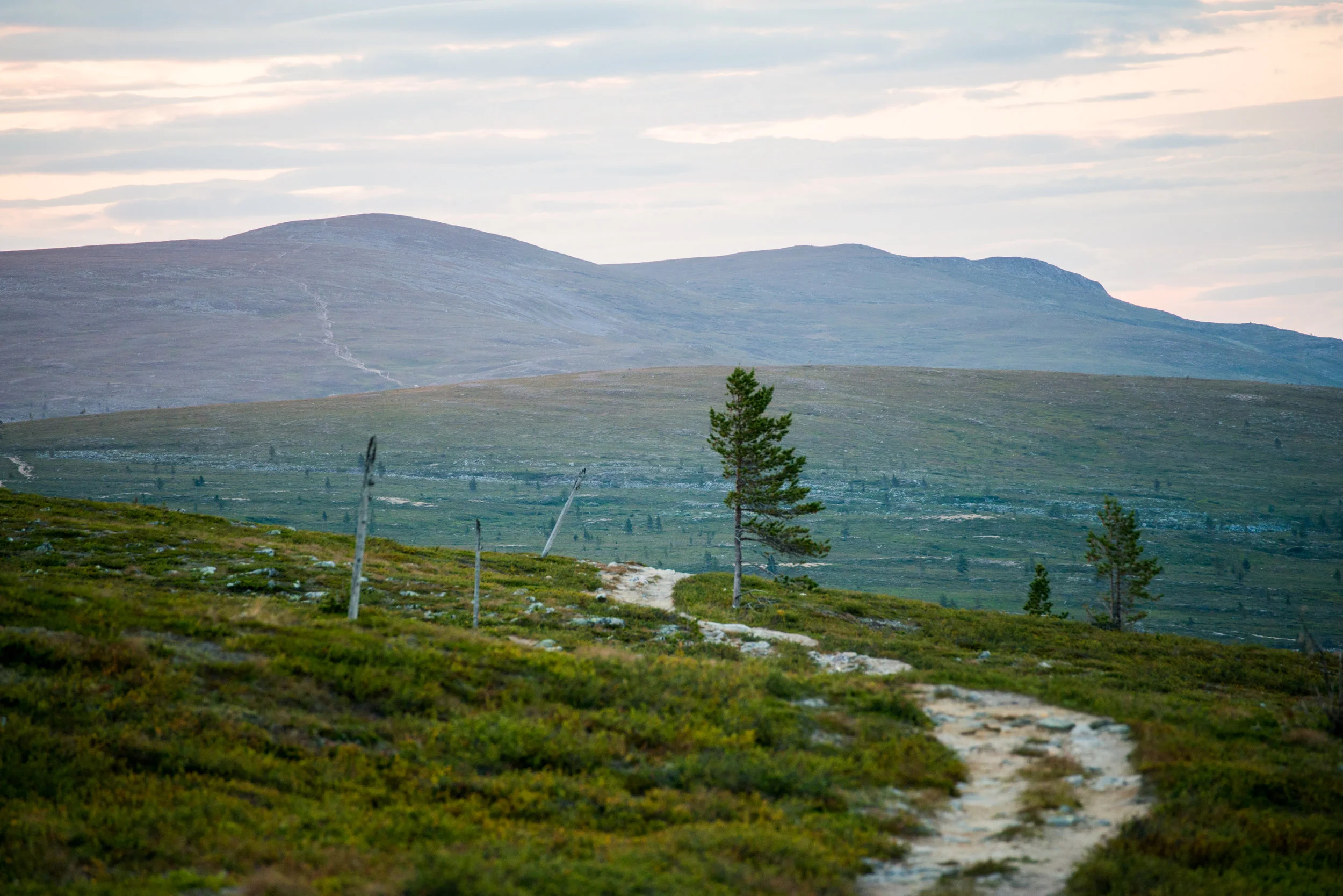 TeemuOksanen_retki-92.jpg