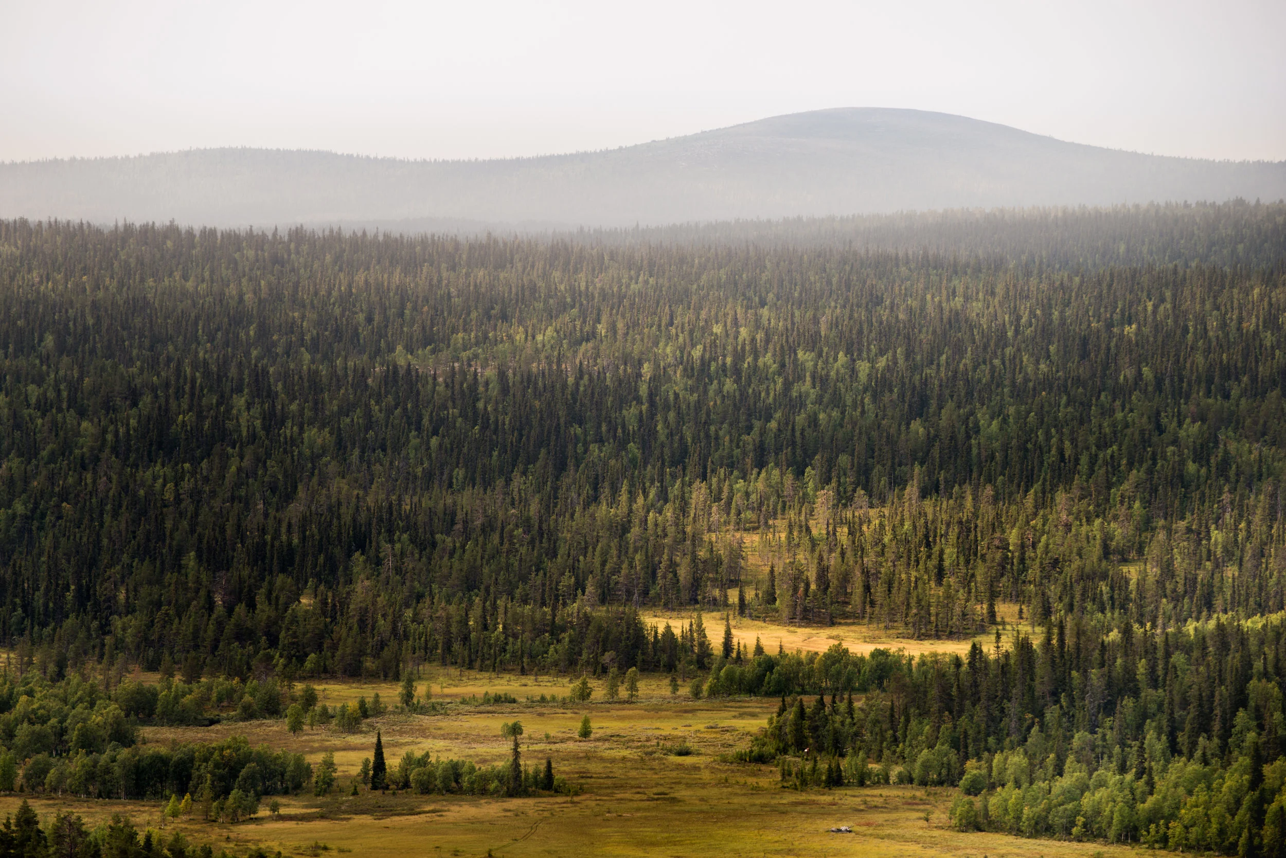 TeemuOksanen_retki-99.jpg