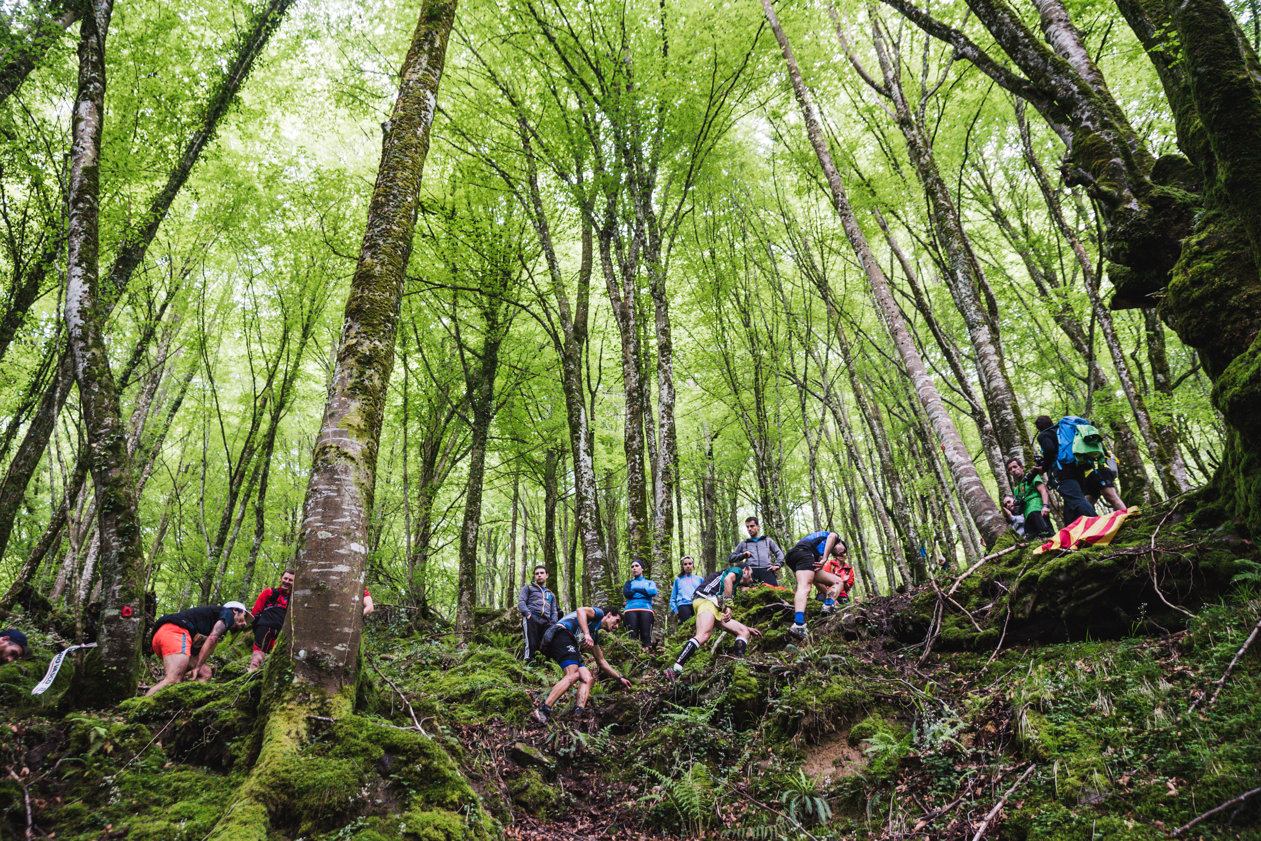 VK in Zegama forest