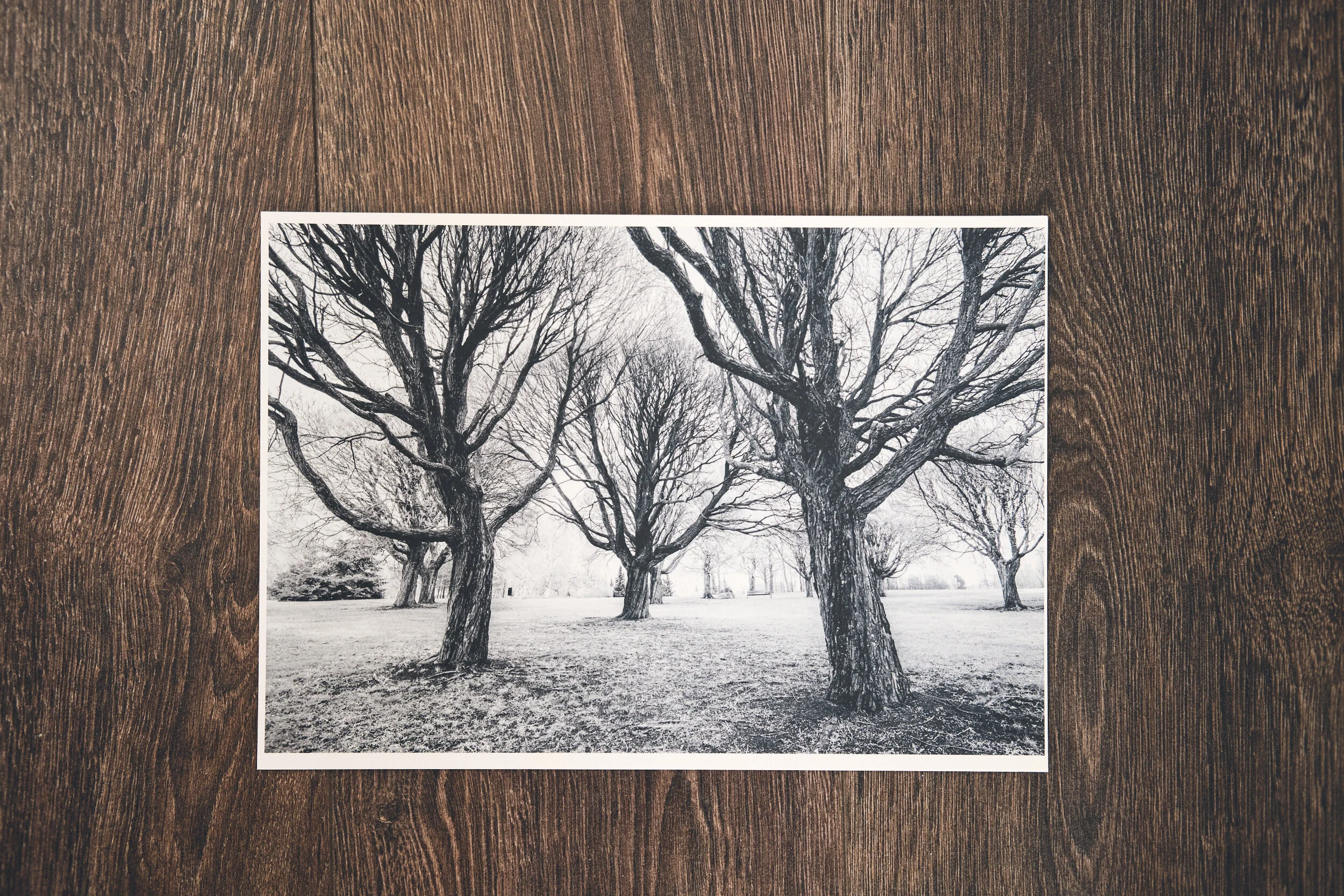 Park Guards 20x30 cm print