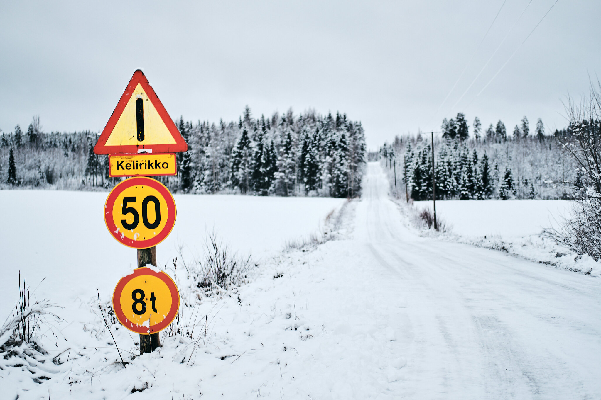 CDC_RallyFinland_20.jpg