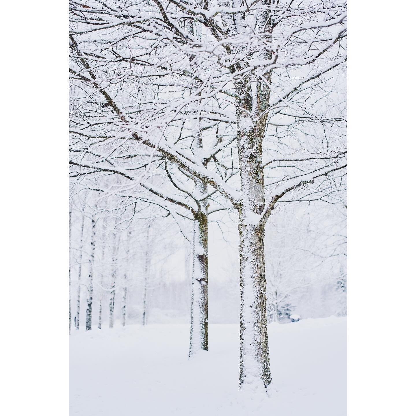 Kids in pulkkam&auml;ki. Walk around pulkkam&auml;ki.
-
#winterwonderland #treephotography #talvi