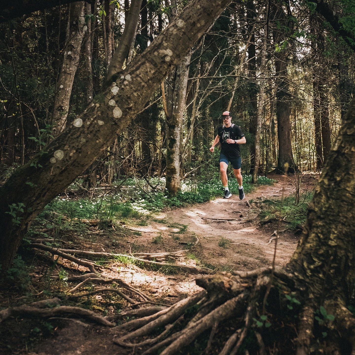 I just realized that 10 years ago I ran my first trail running race. 
👉I think I know how to celebrate this..

✍️📷Also planned to do an interview &amp; photoshoot with someone who has been involved in the sport even longer. 🔜
-
#trailrunning #polk