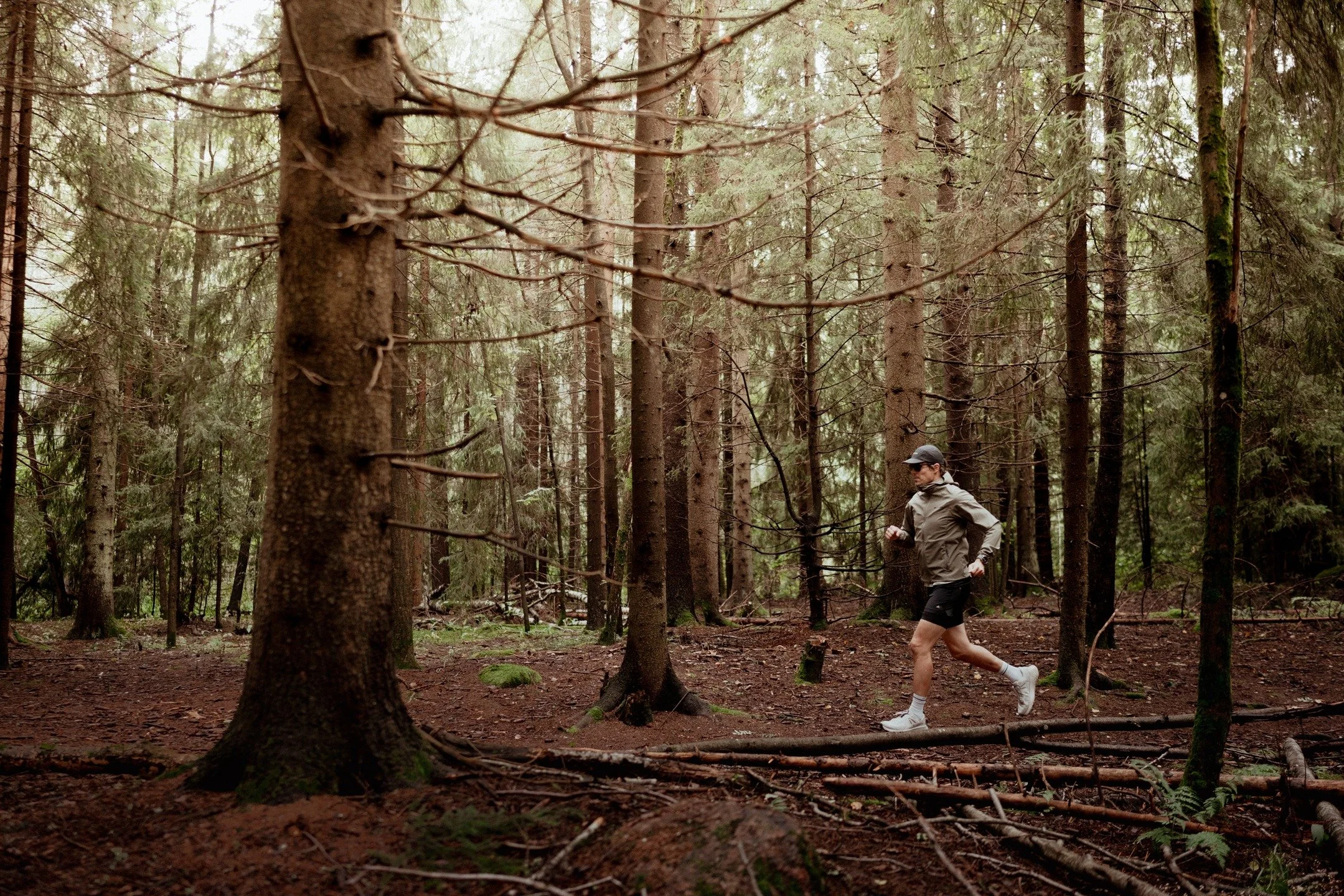 Last week was the best/biggest running week in two years. Let's see eli saas n&auml;hr&auml;..
-
#trailrunning #polkujuoksu #trailrunningwillsavetheworld #trailrunninglife