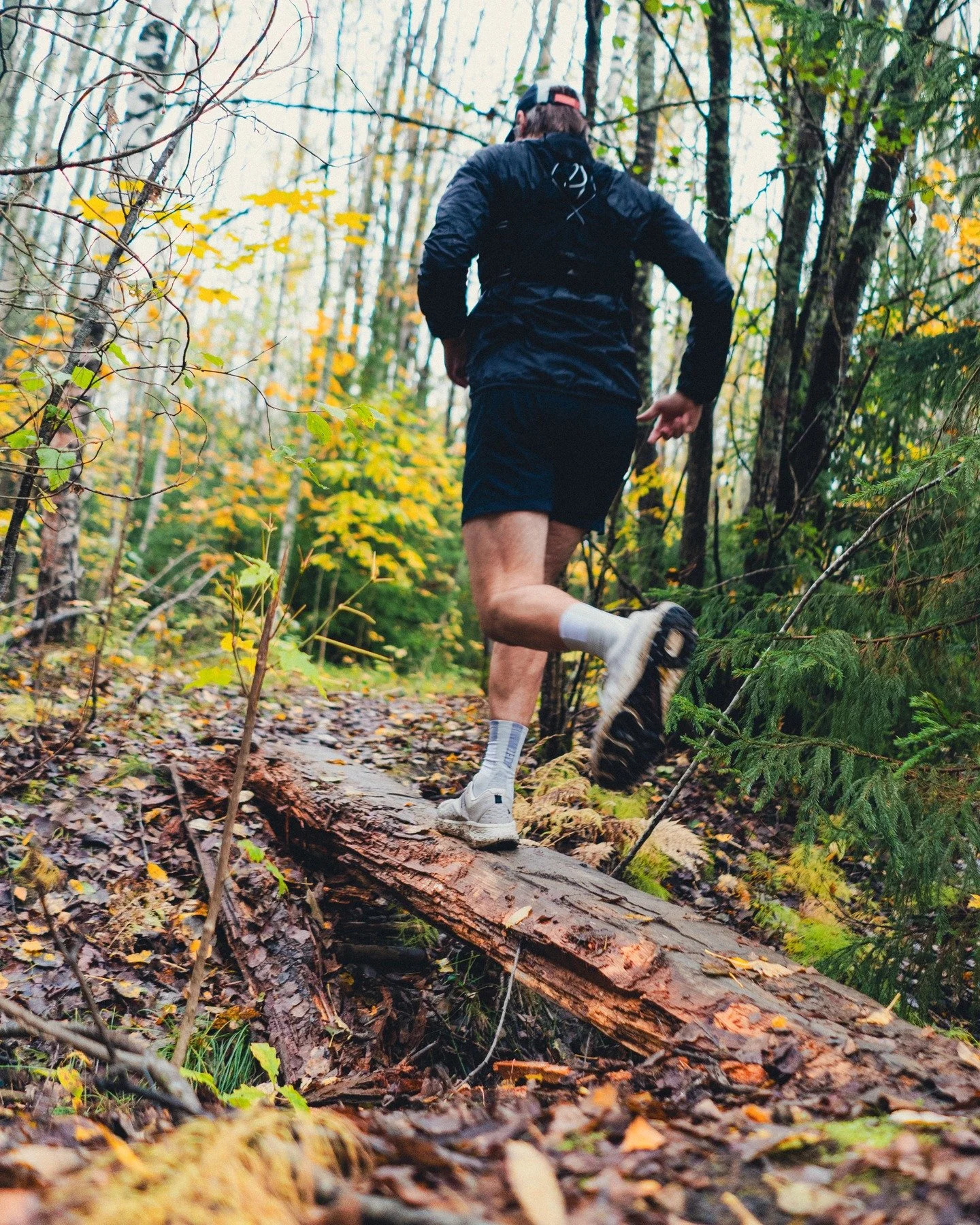 Rain, mud and beautiful colors. Autumn started 1-2 weeks later than usual and same is with my first race of the season. Or actually it&rsquo;s way more late, but better late than never. More in my blog. Link in bio!
-
#trailrunning #polkujuoksu #trai