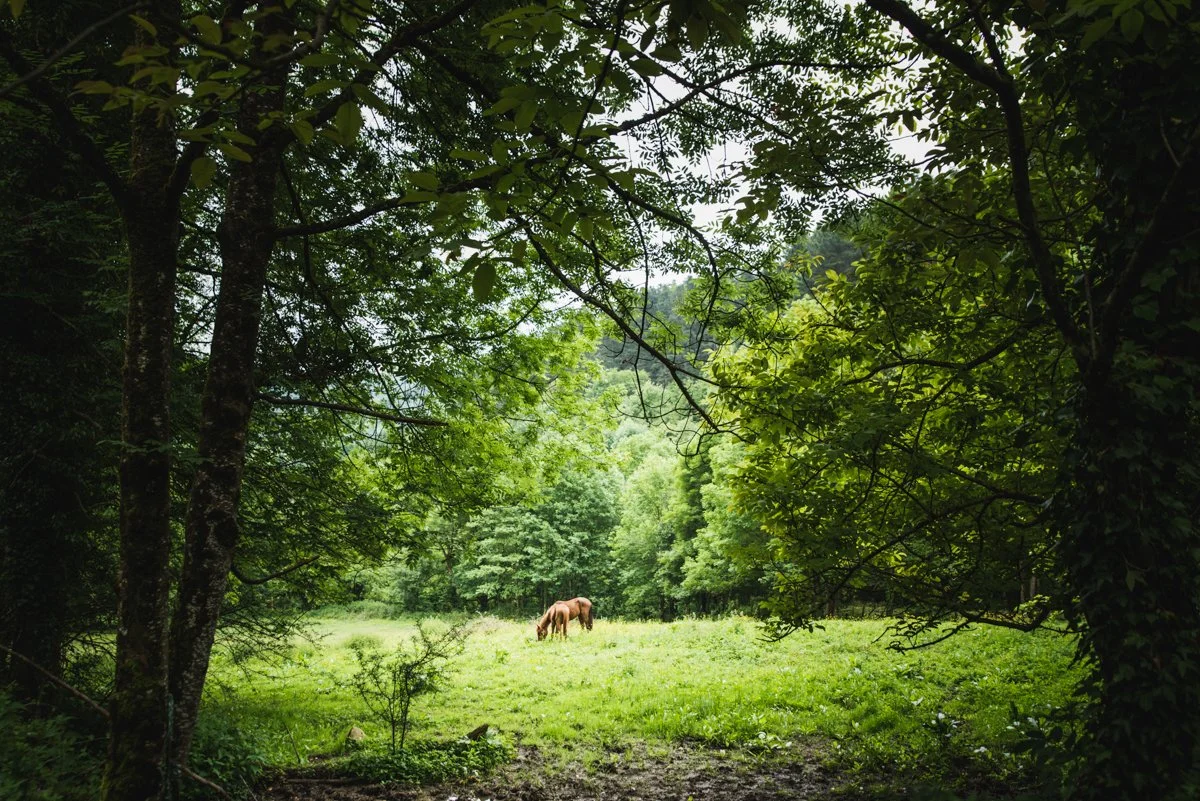 Zegama_Aizkorri2018_TeemuOksanen-11.jpg