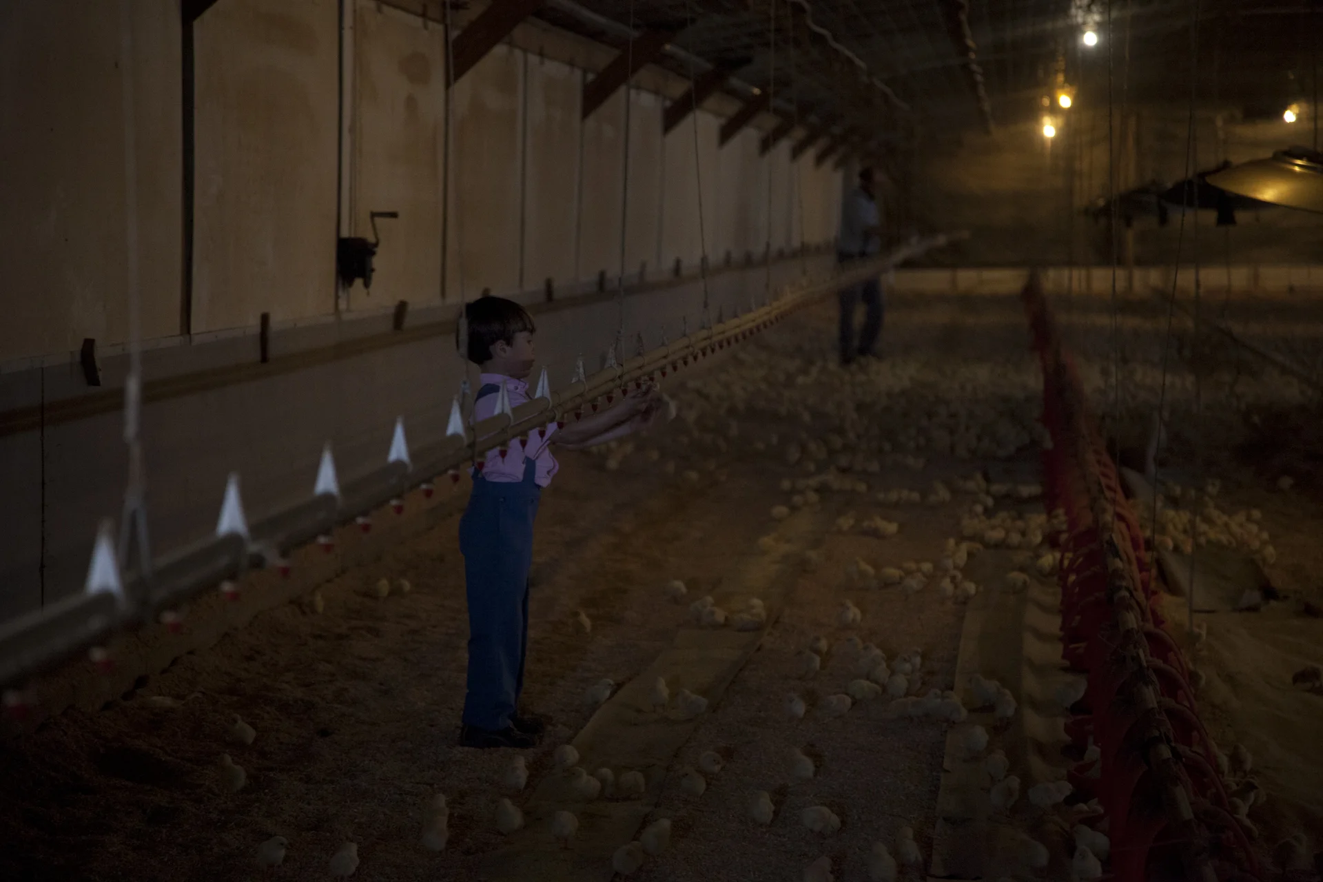 Middlebury_EashFarm_SH_18-1-13-22.JPG