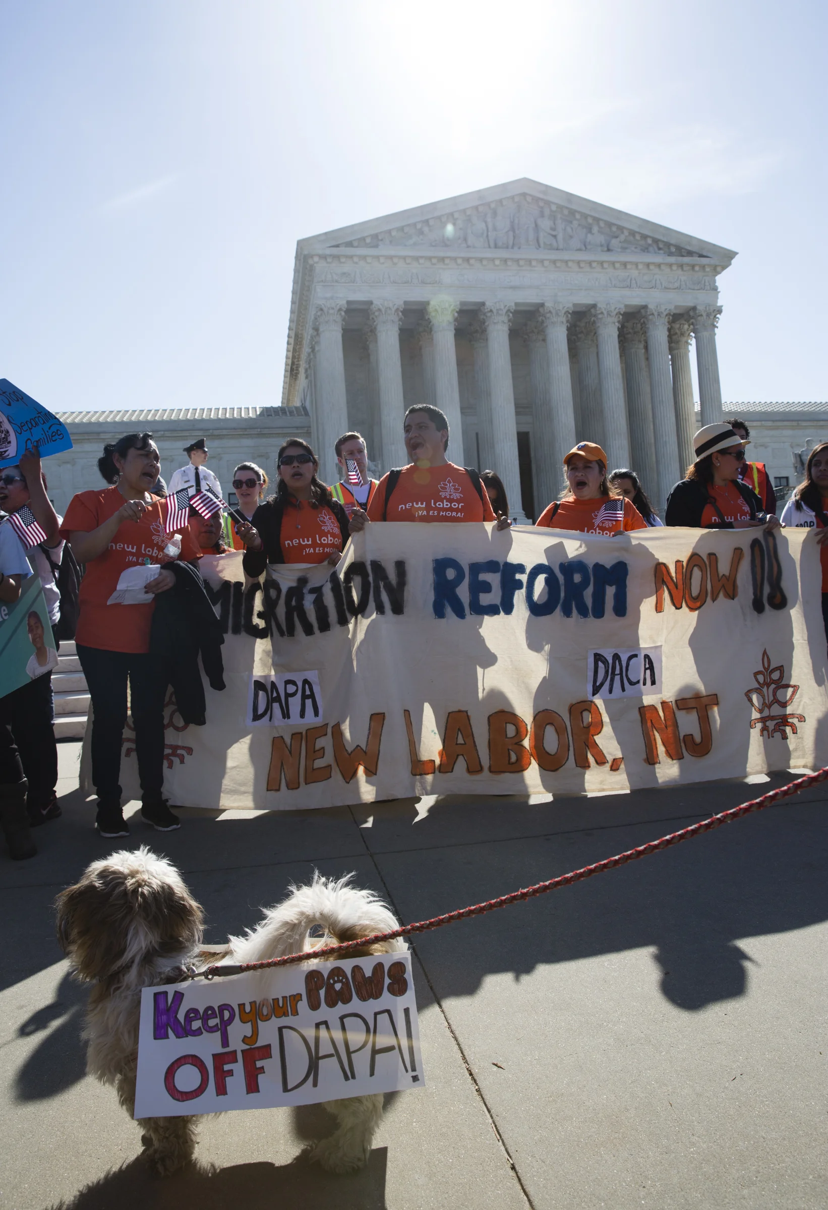 A dog watches as supporters of DACA and DAPA cheer in front of the Supreme Court on April 18, 2016.