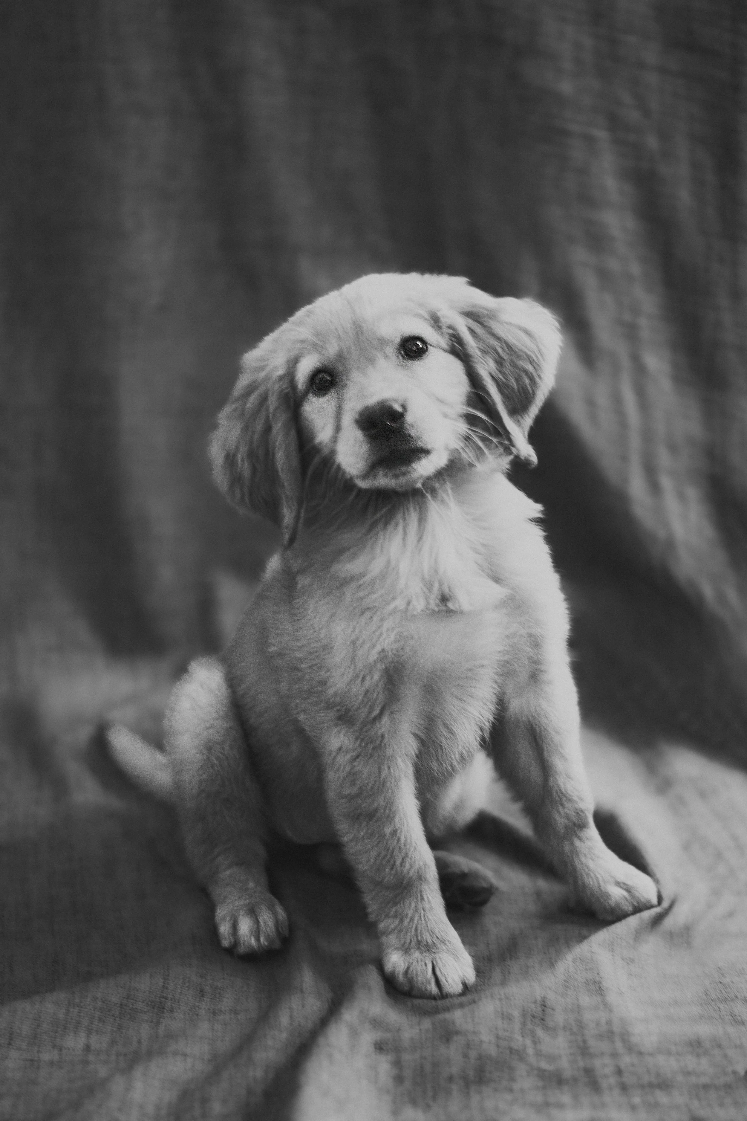 June_Rosie-6.jpg