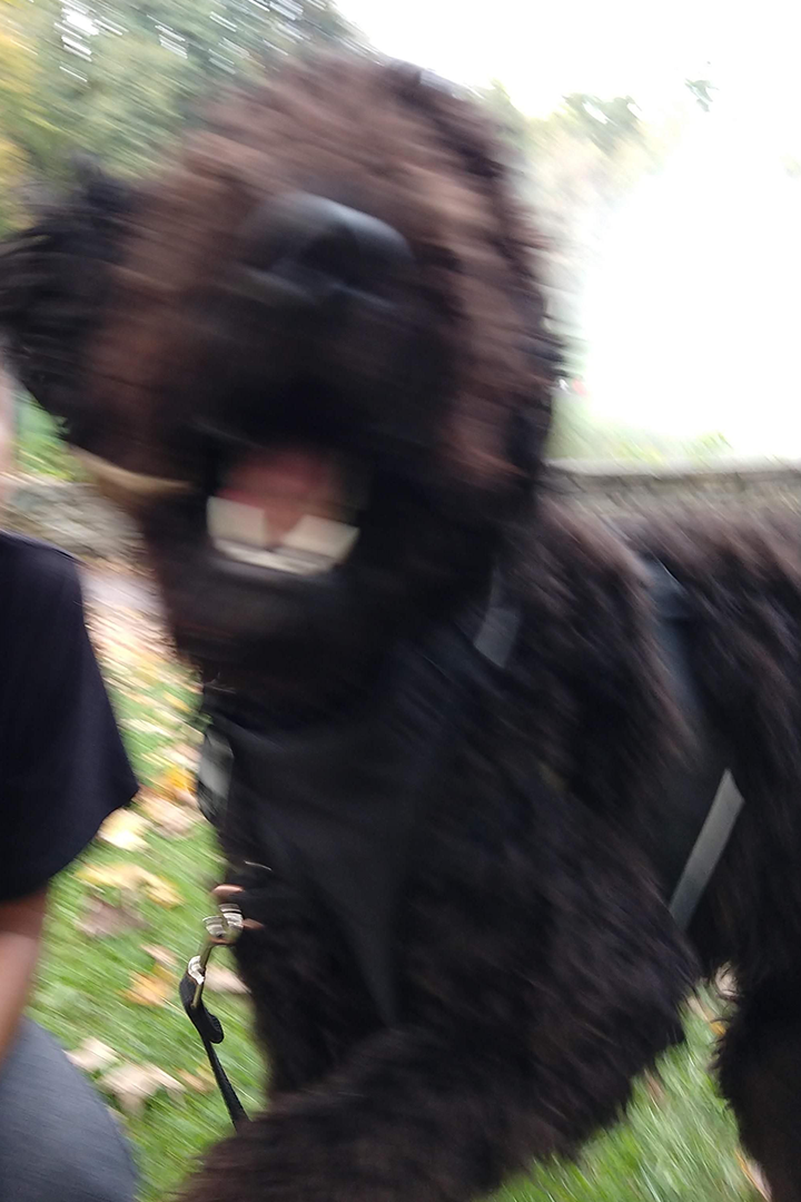 Example_LowQuality.png