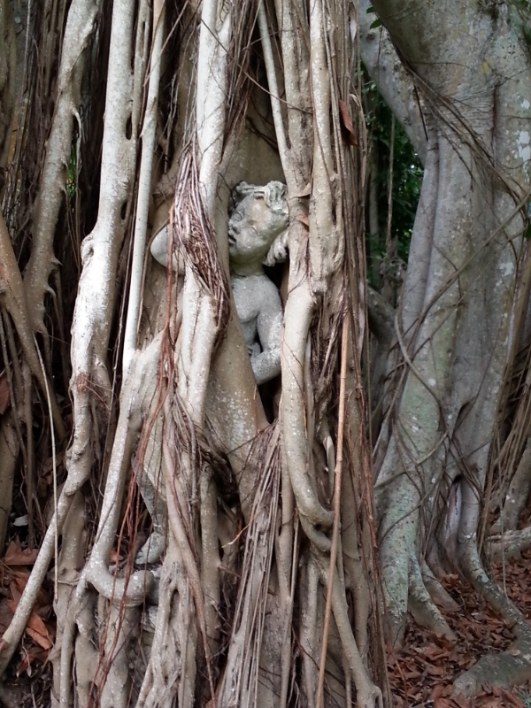 Statue in banyan tree