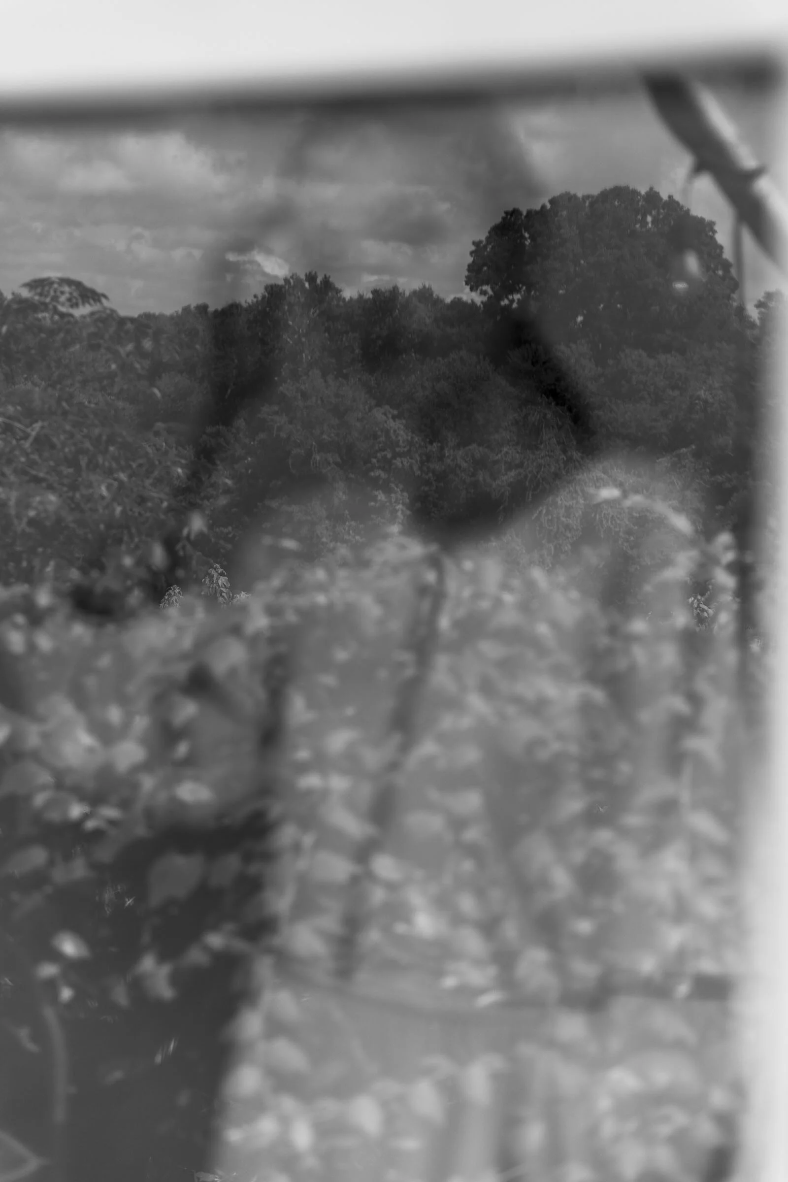 DP_49526web.jpg
