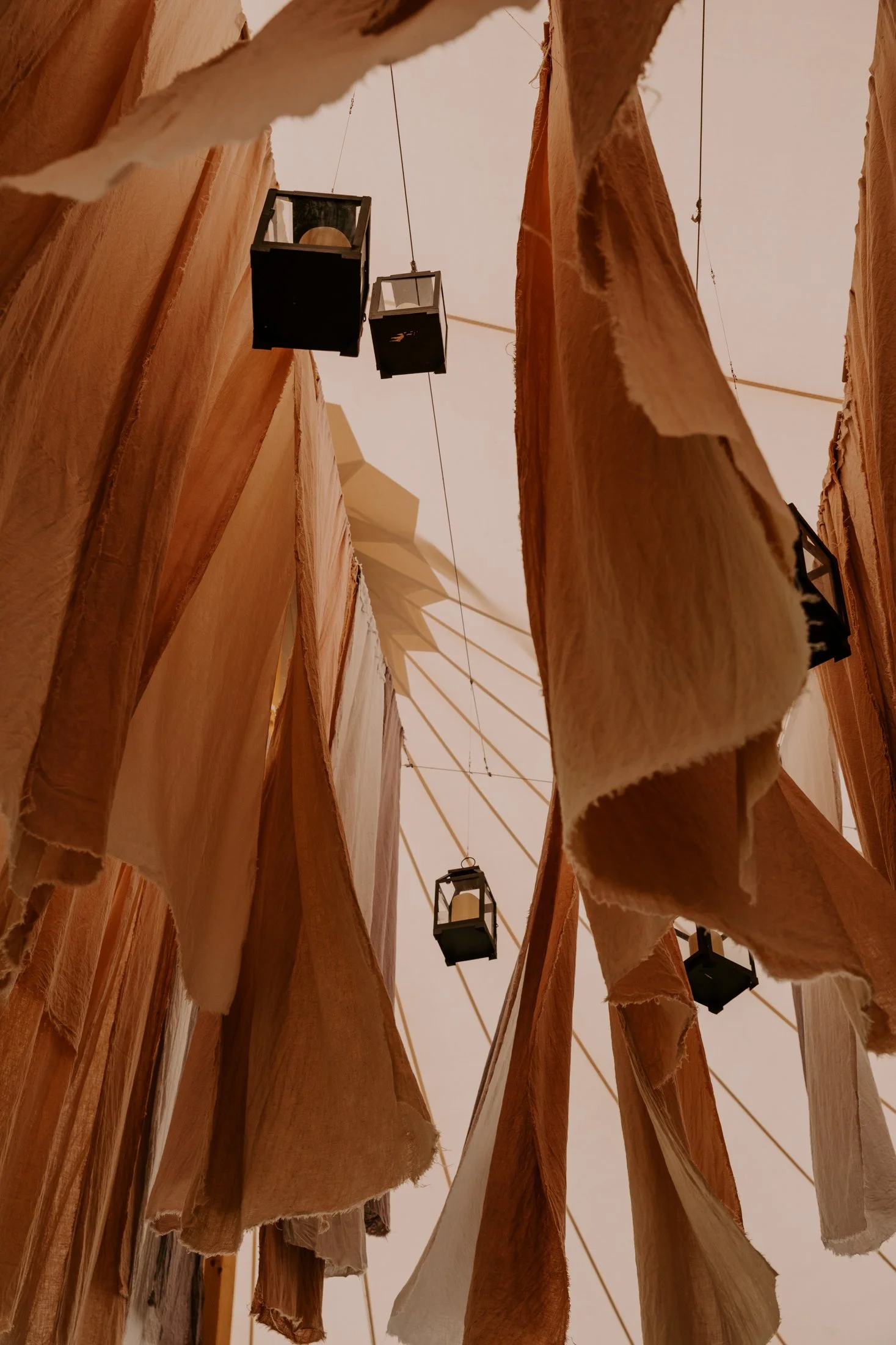 DP_49577.jpg