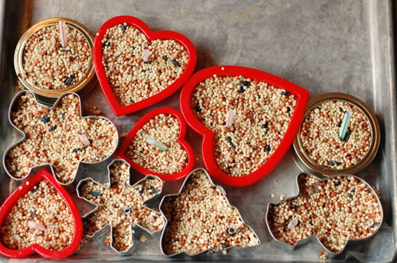 Brilliant cookie cutter bird feeders via Saltwater Kids