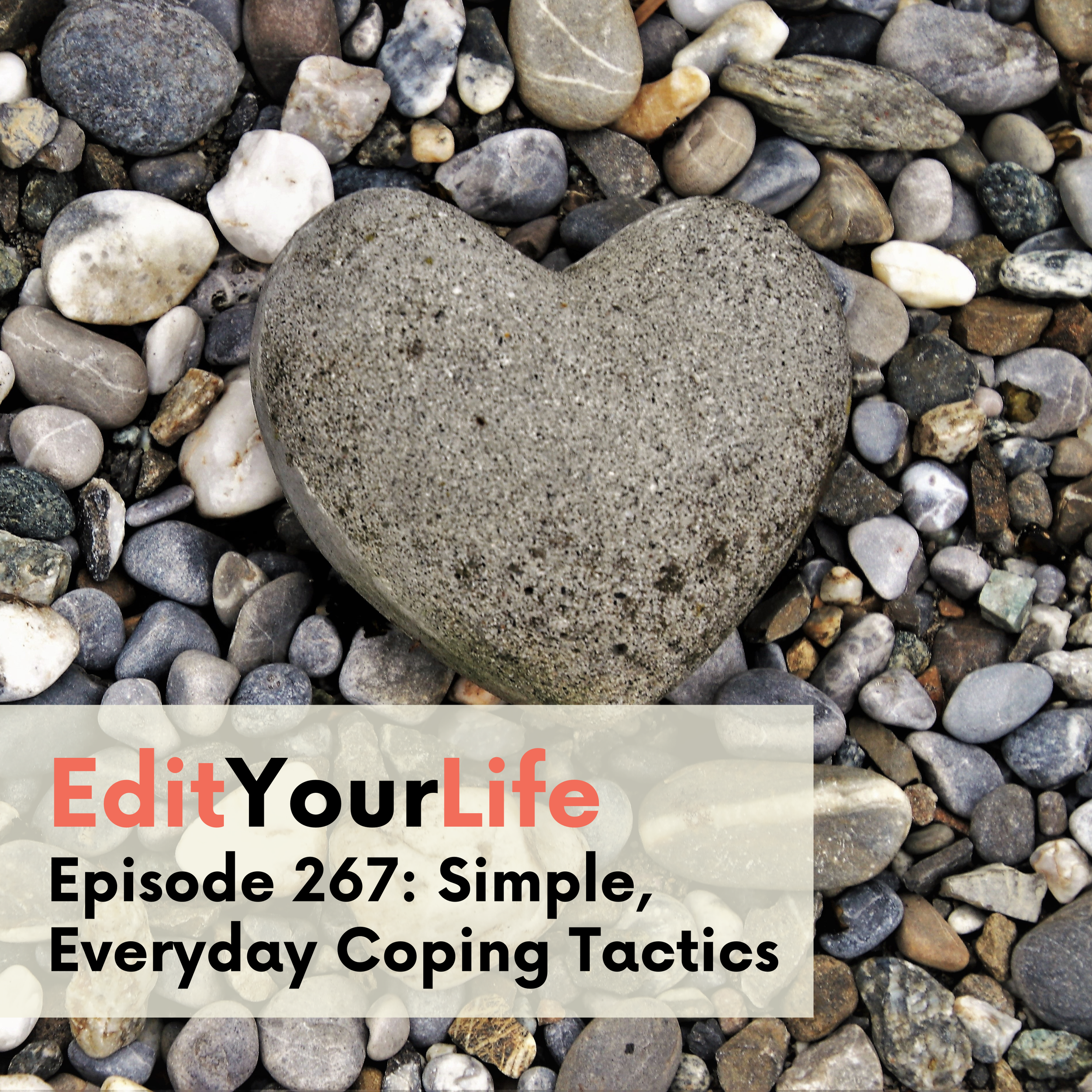 Simple, Everyday Coping Tactics | Edit Your Life Episode 267