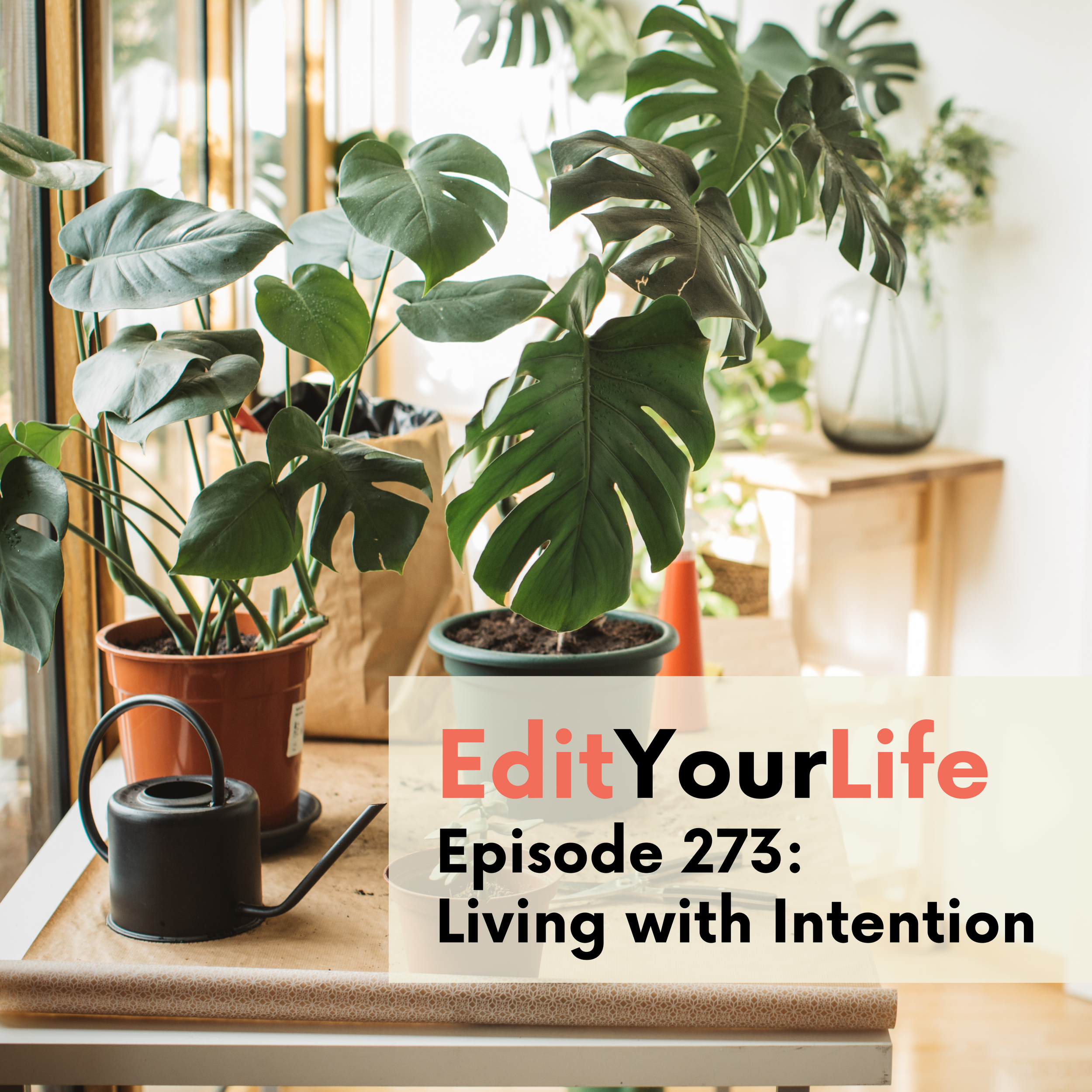 Living with Intention | Edit Your Life Episode 273