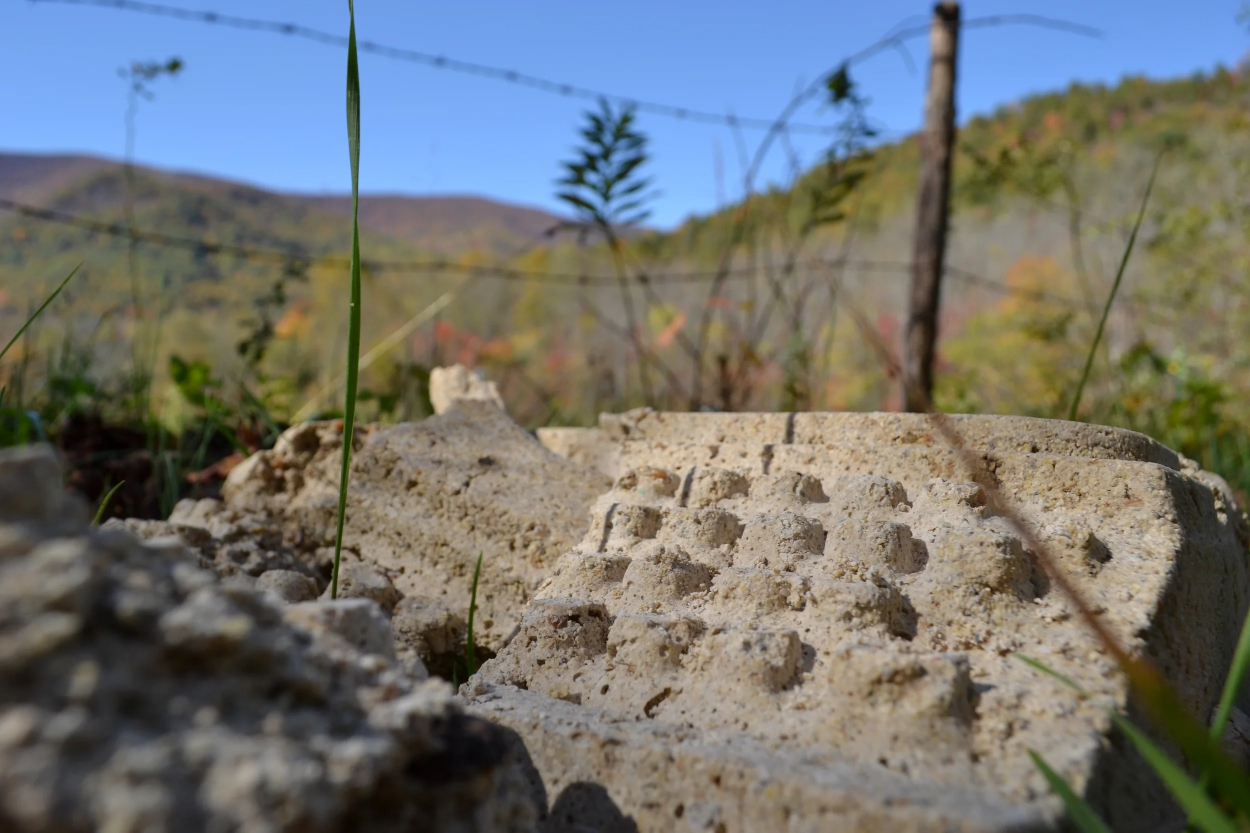 DSC_0062.jpg