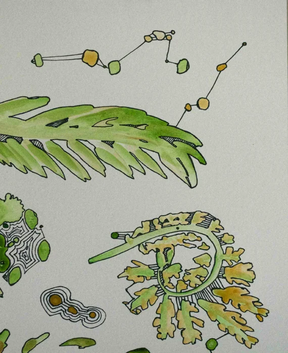 PLANT STUDY I