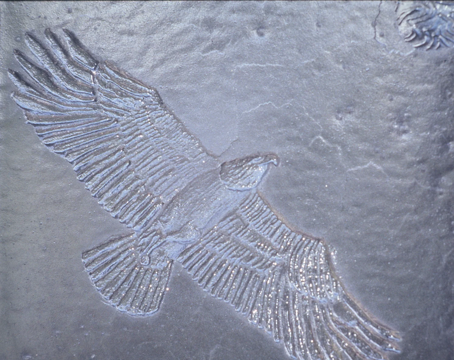 Tile- Eagle.jpg