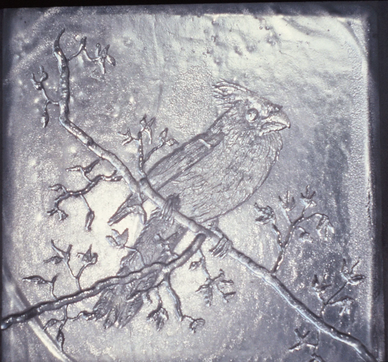 Tile- Oriole.jpg