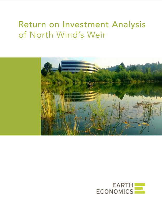 NorthWinds Weir ROI_cover.png
