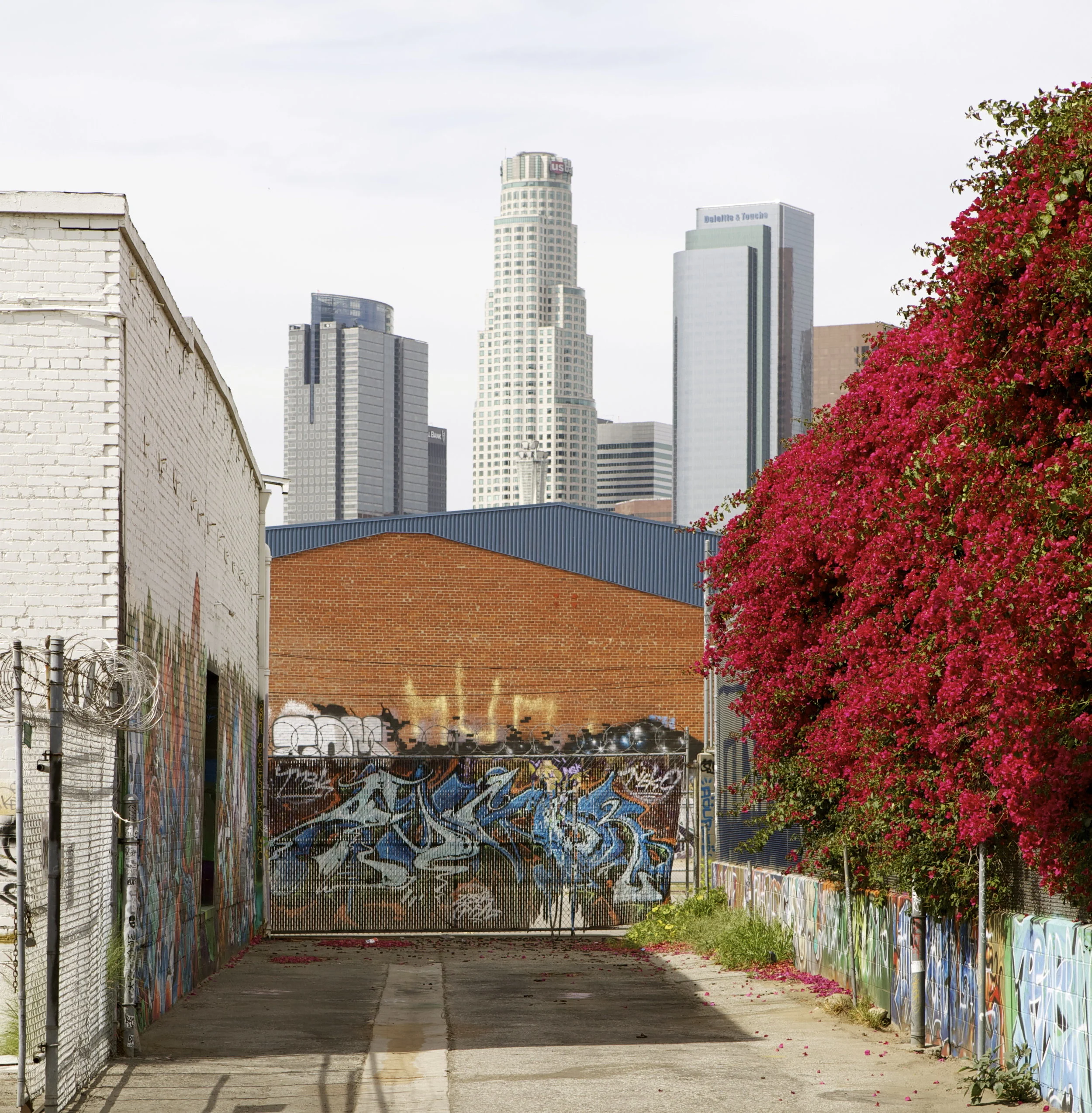 DTLA 2.jpg