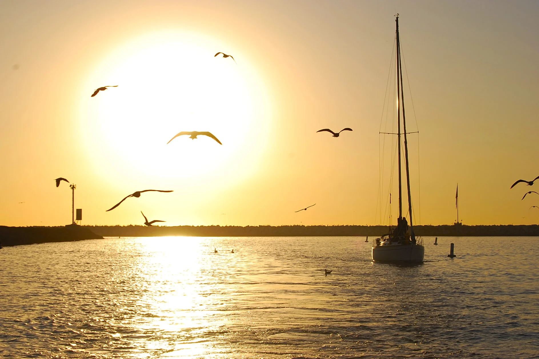 Marina Del Rey 2.JPG