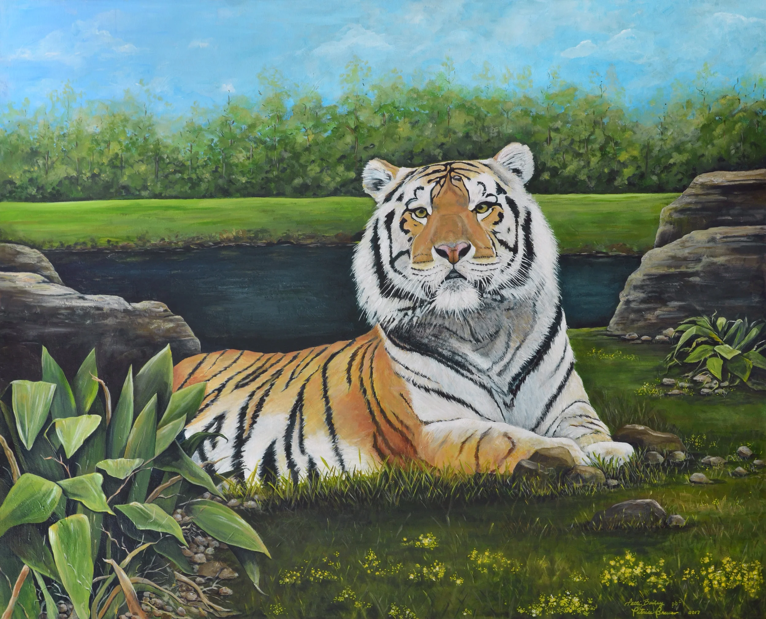 Pet Portraits and Animals