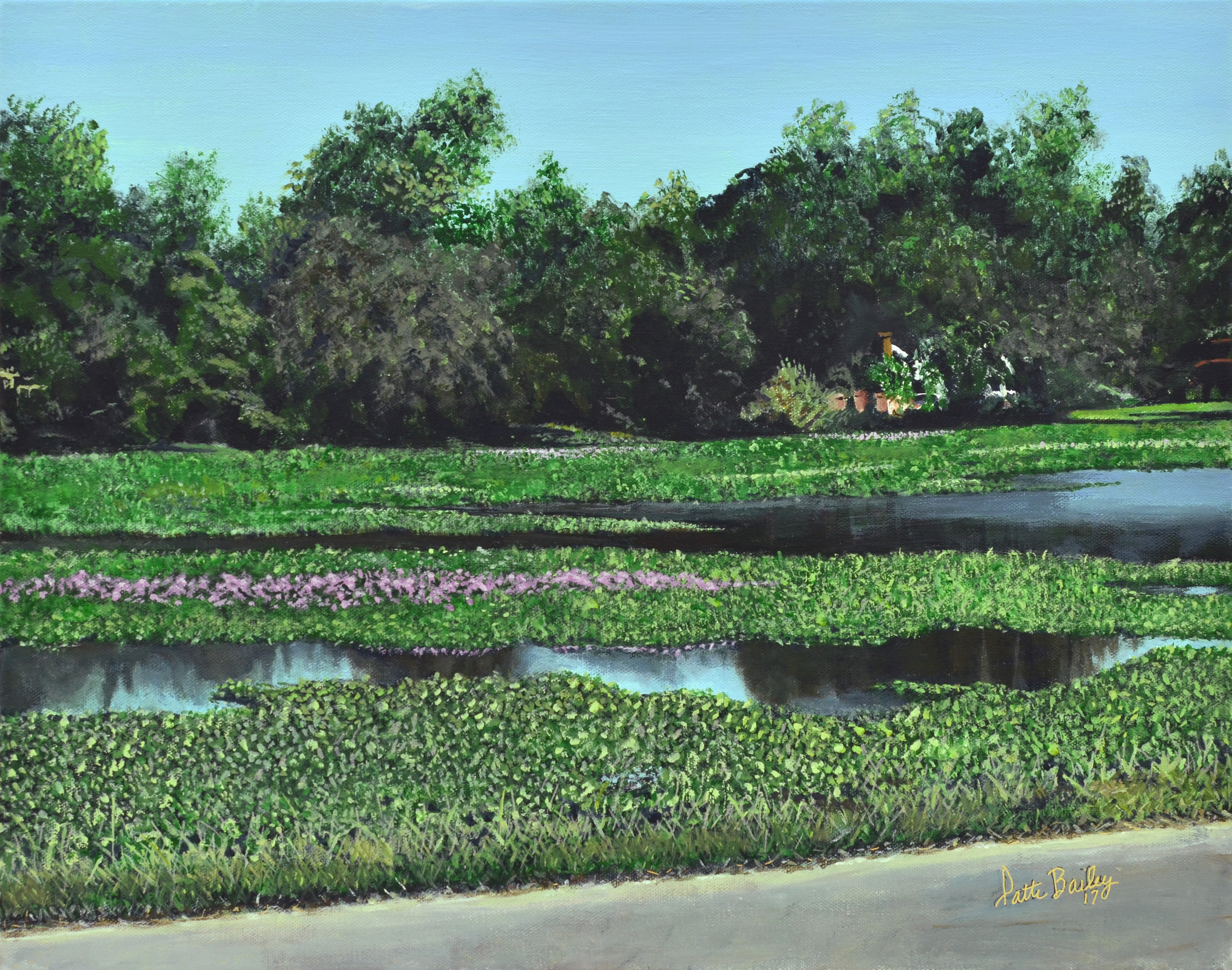 LSU lakes- hyacinths in bloom.jpg