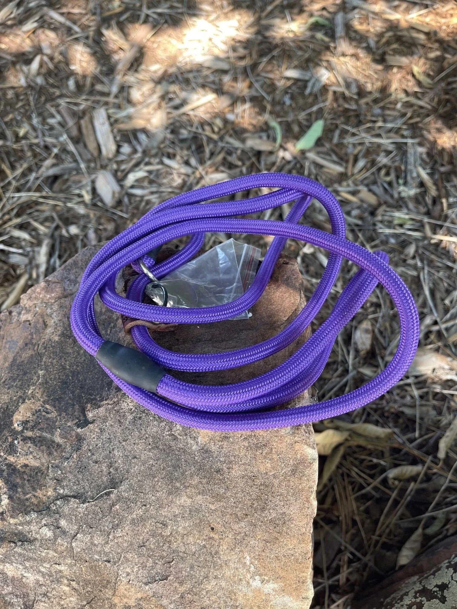 purple.jpg